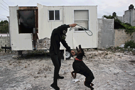 Galán Tóxico training mutant dog "dictador"